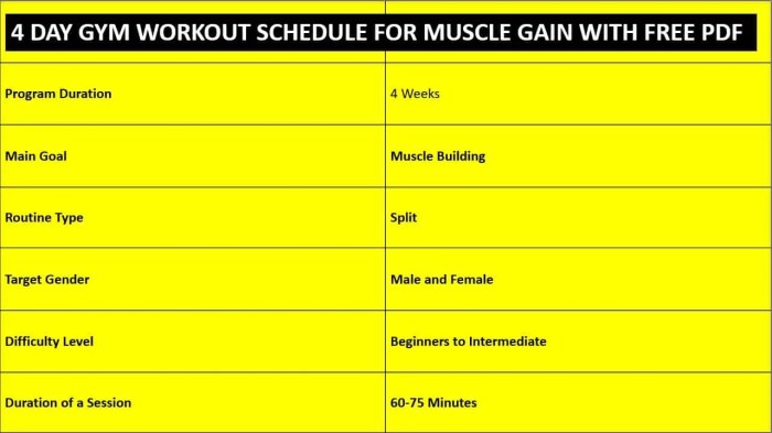 Weight Training Programs For Muscle Gain