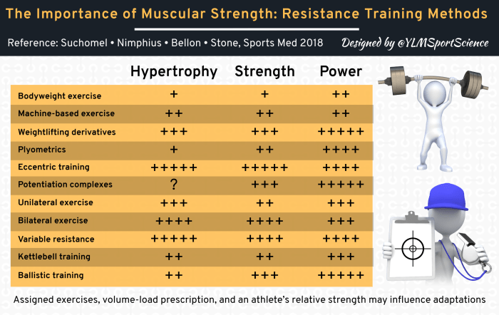 Muscle Resistance