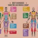 Muscle Training Exercises