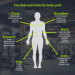 Strength Training Muscle Groups