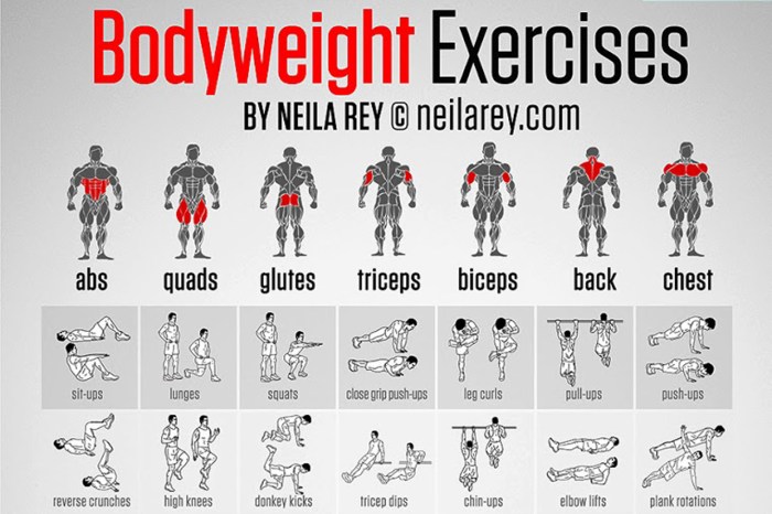 Best Weight Lifting Workouts