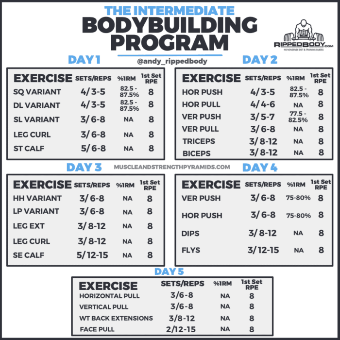 Weight Lifting Program To Build Muscle