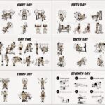 Strength And Muscle Building Workout