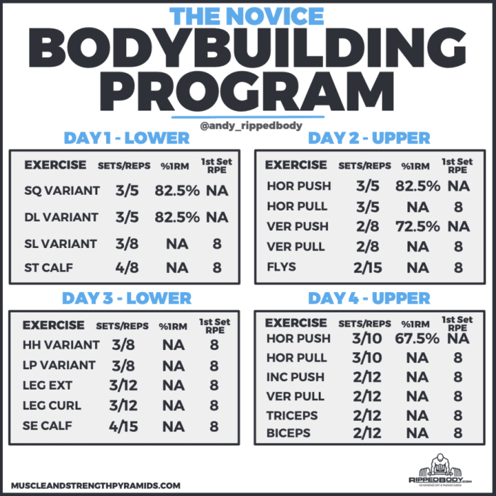 Beginner Weight Lifting Program