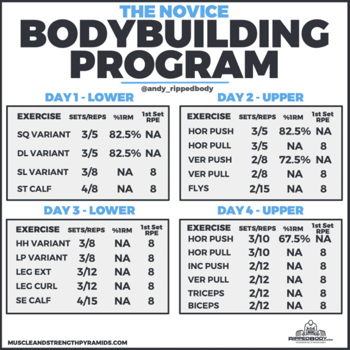 Lifting Weights Programs