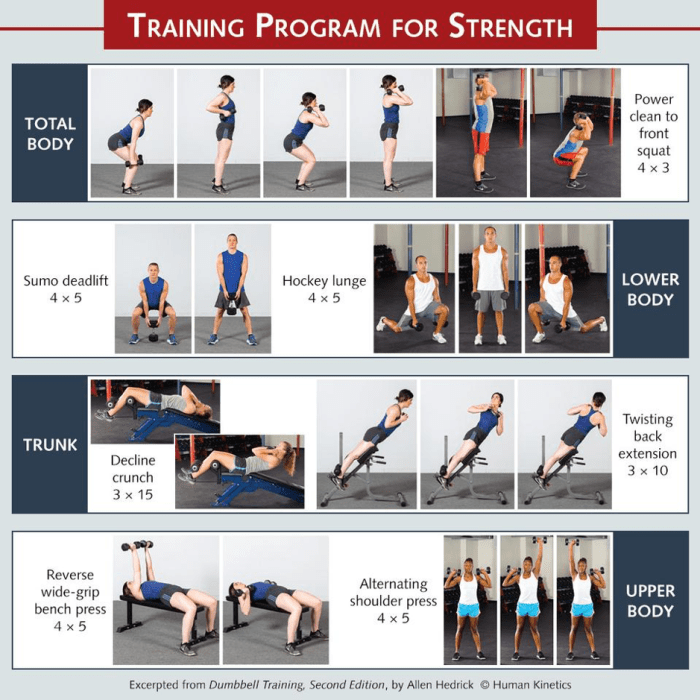 Muscular Strength Training Program