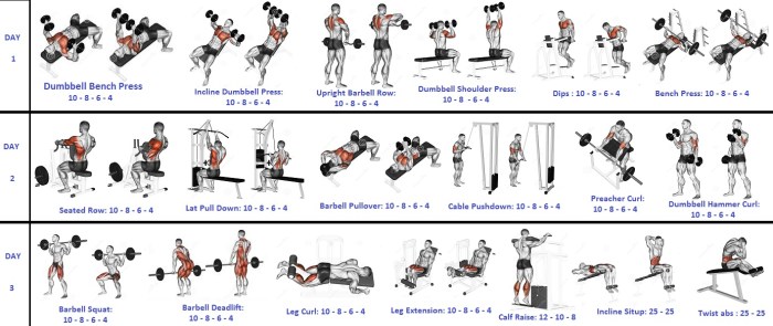 Workout Program For Mass And Strength