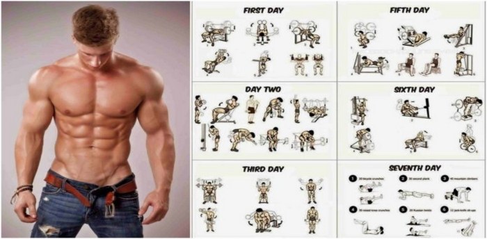 Best Weight Lifting Program For Muscle Gain