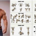 Weight Training To Build Muscle