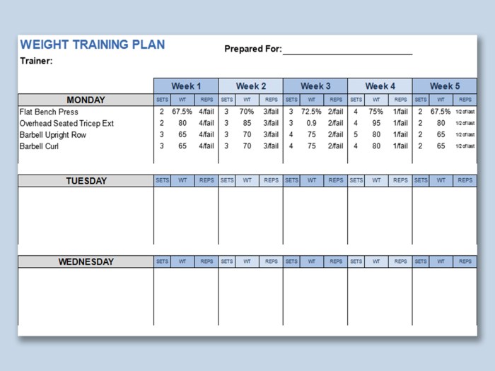 Weight Lifting Training Plan