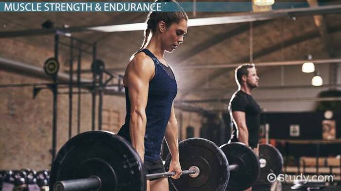 Muscular Endurance Weight Training