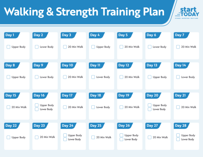 General Strength Training Program