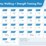 Muscular Strength Training Program