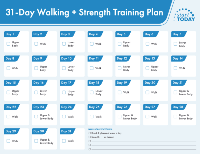 Muscular Strength Training Program