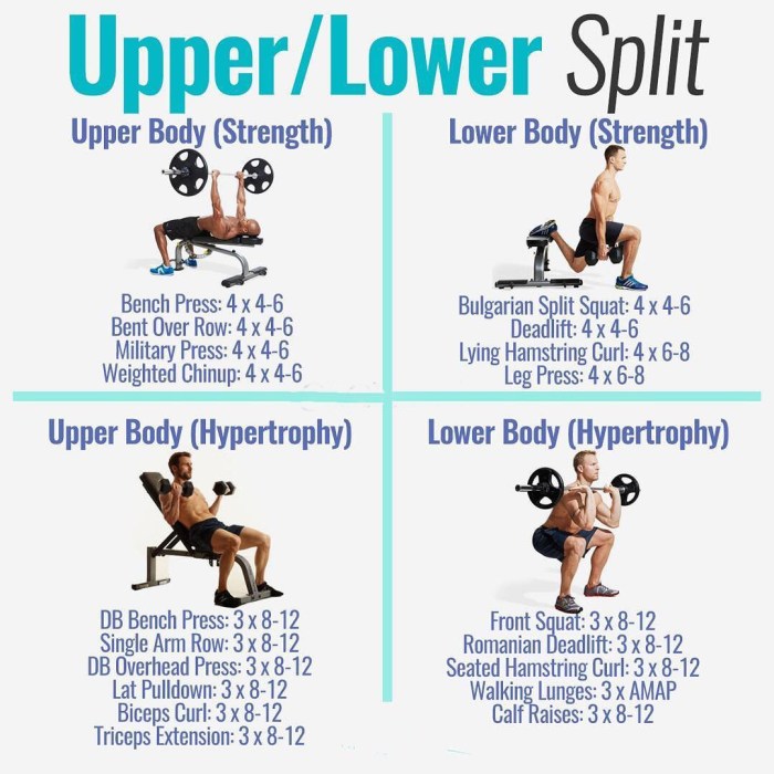 Strength And Muscle Building Workout